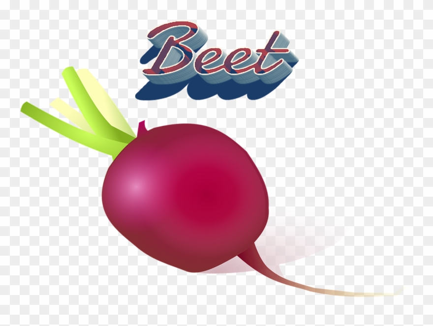 Beet Png Clipart - Portable Network Graphics Transparent Png