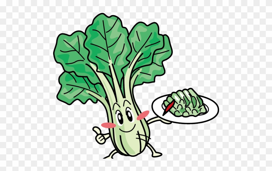 Cabbage Clipart Bok Choy - Bok Choy - Png Download