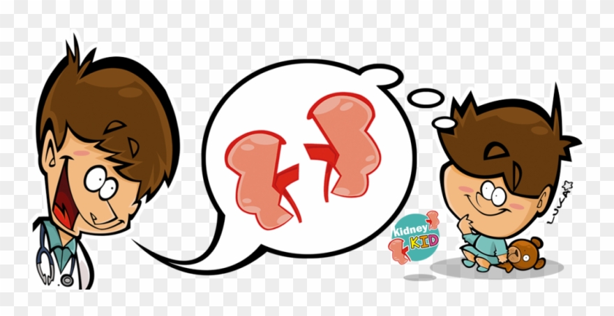 Kidney Clipart