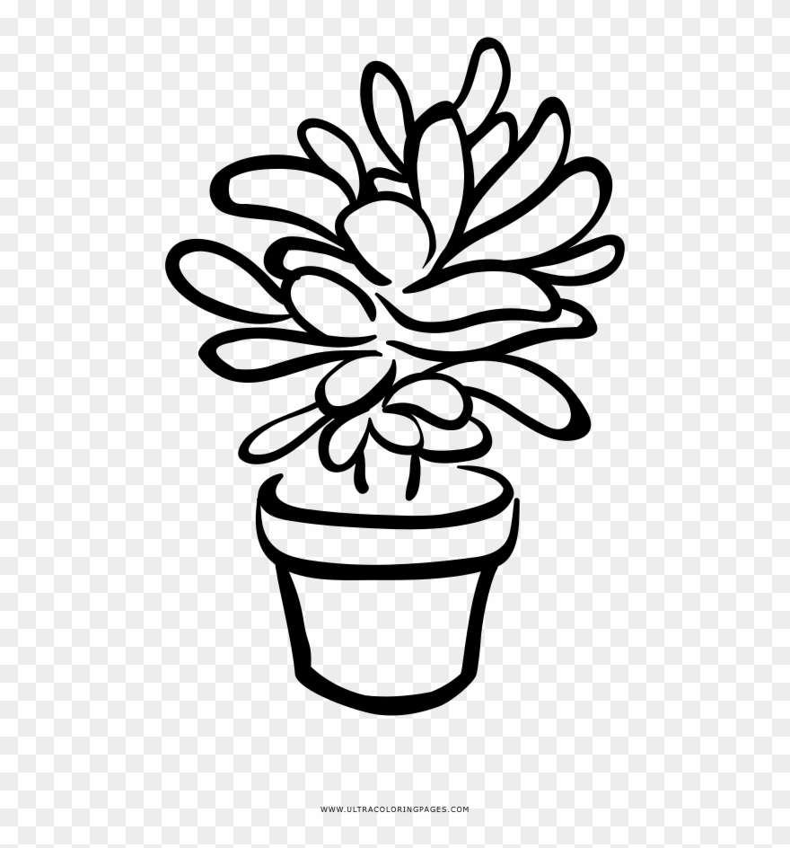 Succulent Coloring Page - Black And White Succulent Clip Art - Png Download