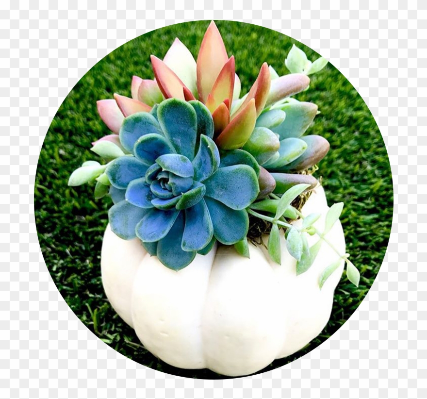 Arrangement1 - Cardiff Clipart