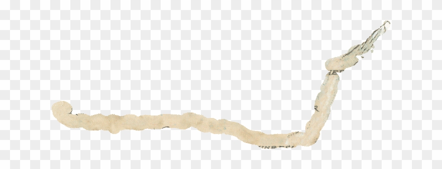 Clipart Info - Wood - Png Download