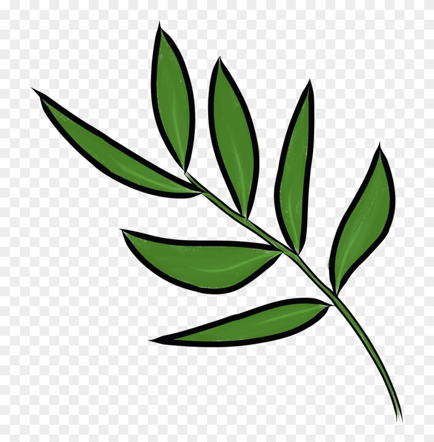 Daun Kesum - Persicaria Minor Clipart