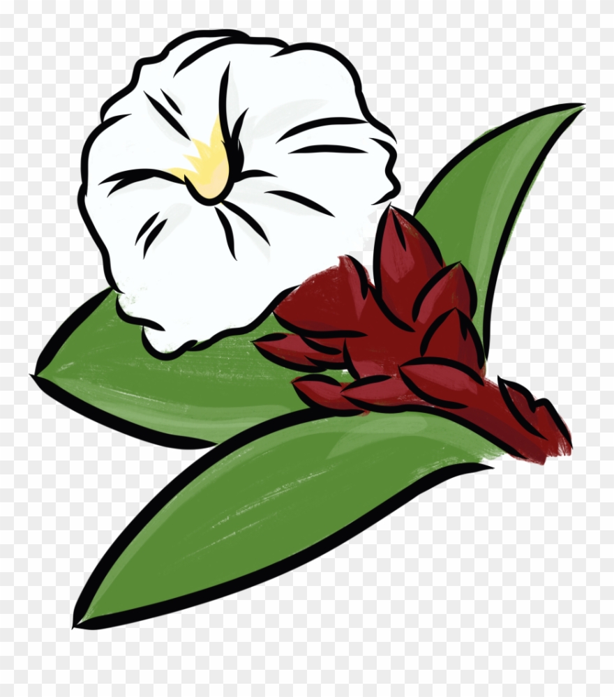 Crepe Ginger - Crepe-ginger Clipart