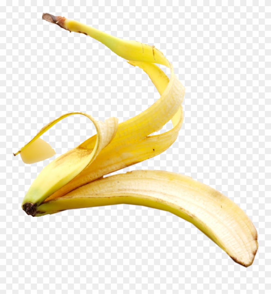 Banana Peel Png Cat Litter Box Clipart Cat Litter Box - Cascara De Platano Png Transparent Png