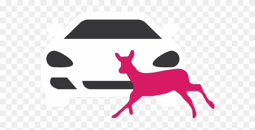 Animal-vehicle Collisions - Roe Deer Clipart