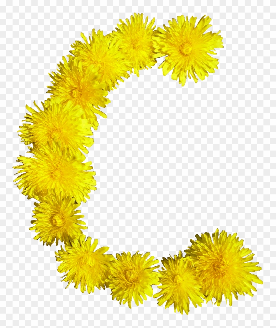 Blumen C - Png Blumen Clipart