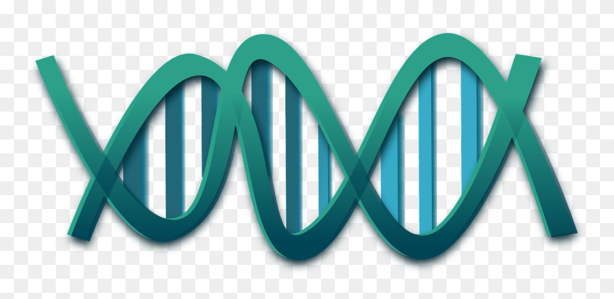 Png Free Dna Clipart Transparent - Dna Clip Art