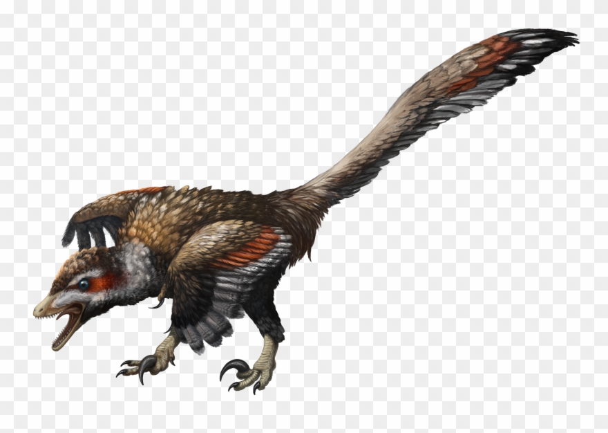 Velociraptor - Mongolian Velociraptor Clipart