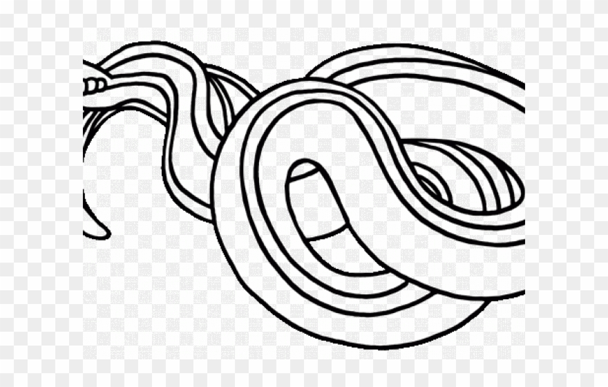 Snake Clipart Black And White Garter Snake Clipart - Garter Snake - Png Download