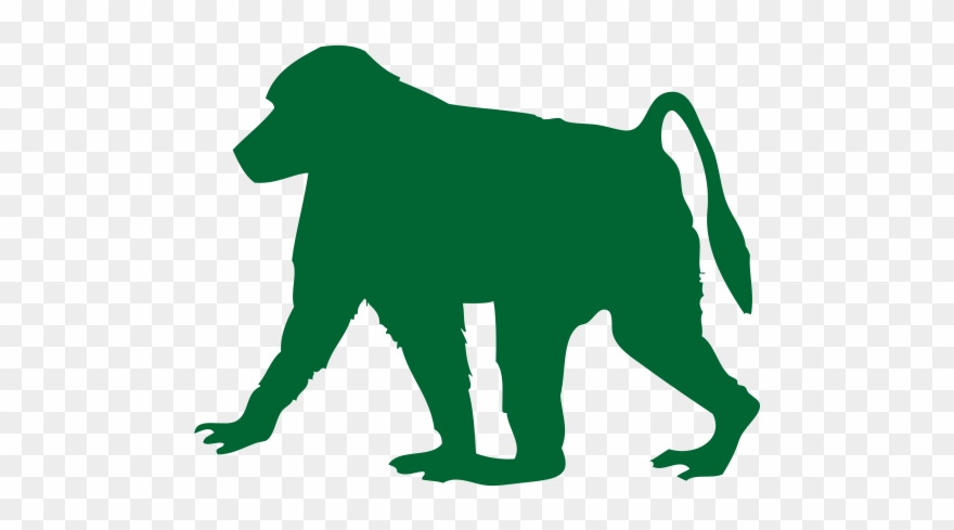 Baboon Png Transparent Images - Dog Catches Something Clipart