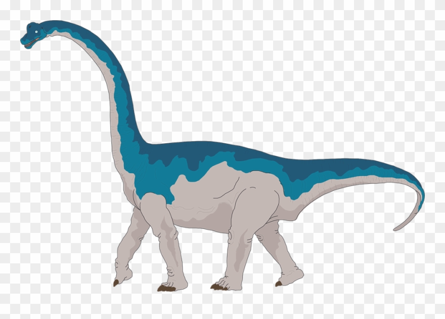 Collection Of Dinosaur Tail Cliparts - Brachiosaurus Clipart - Png Download