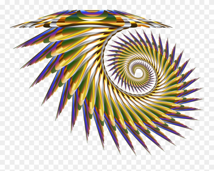 All Photo Png Clipart - Icon Transparent Png