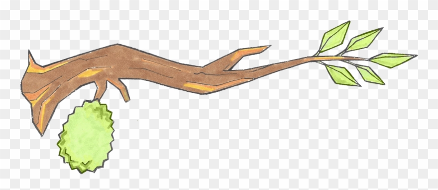 Durian Email Newsletter - Email Clipart