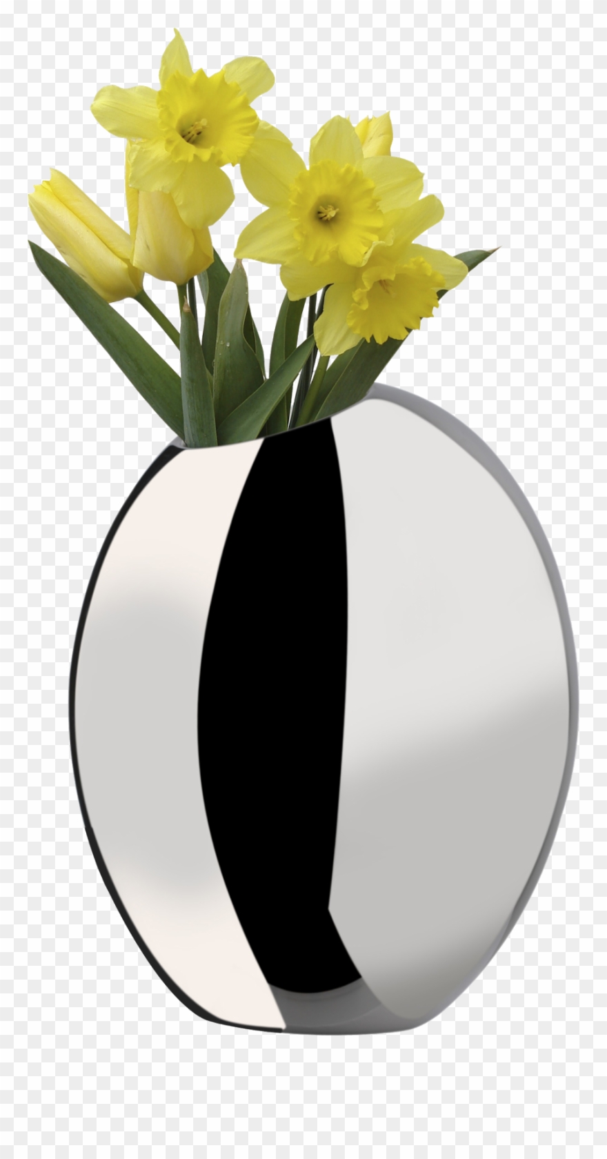 Daffodils In Vases - Flowers Clipart