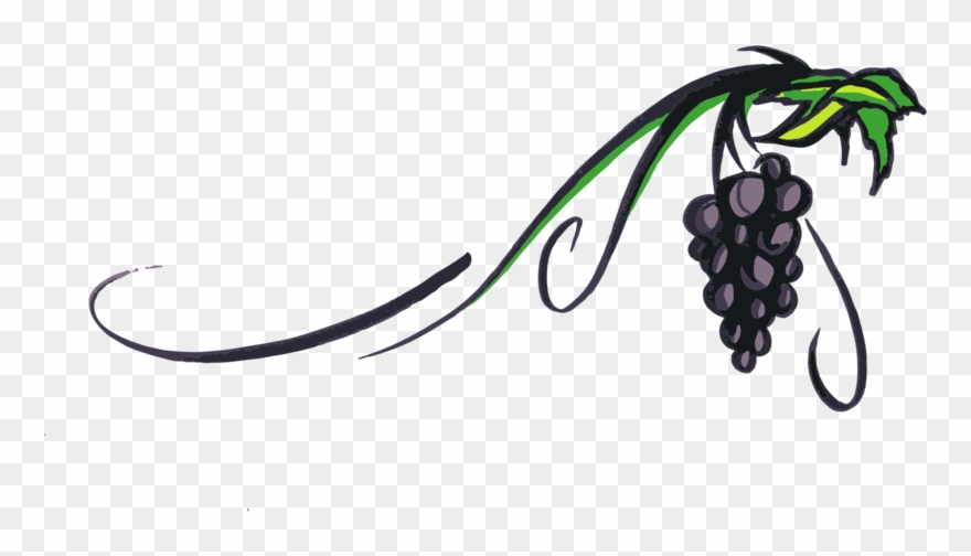 Grapevine Png Transparent Picture - Transparent Grape Vine Clipart