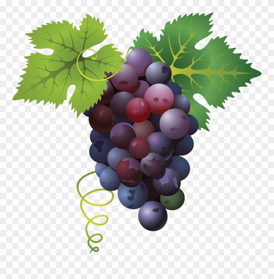 Grape Png Free Images Only Image X - Grape Png Clipart