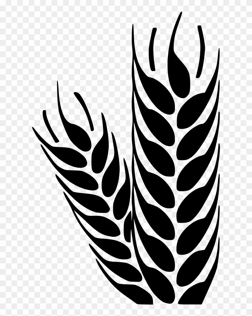 Info - Vectores Espigas De Trigo Png Clipart