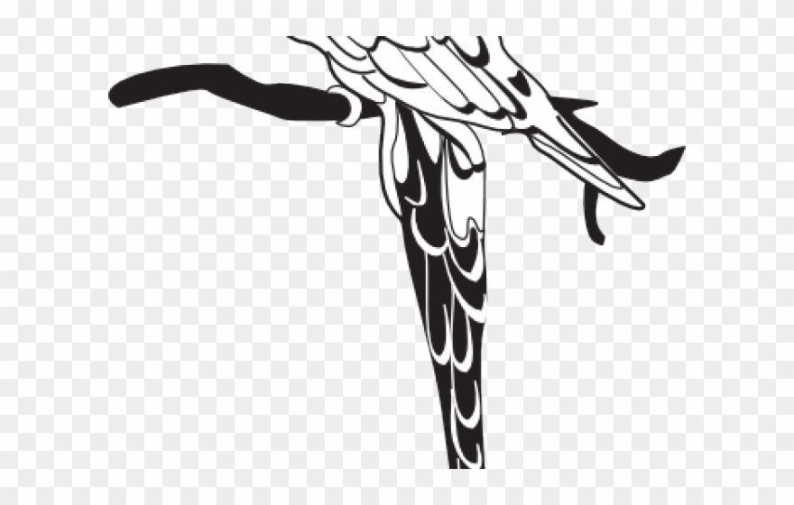 Monochrome Clipart Parrot - Parrot - Png Download