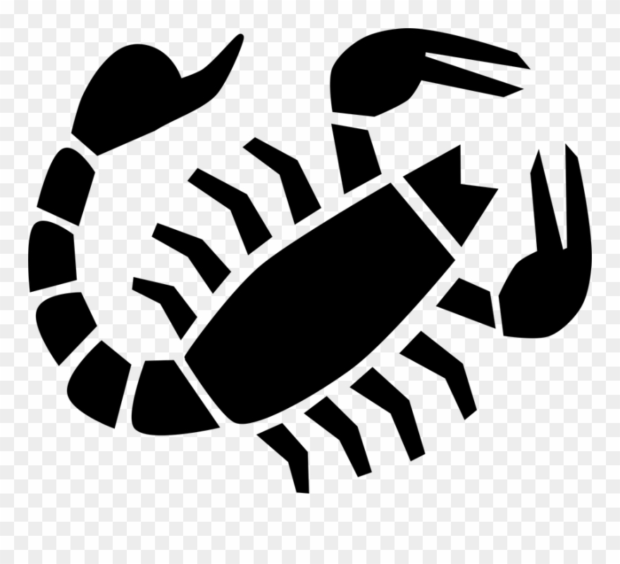 And Set Up Scorpion Traps All Over Your Backyard - Scorpio Tshirt Clipart