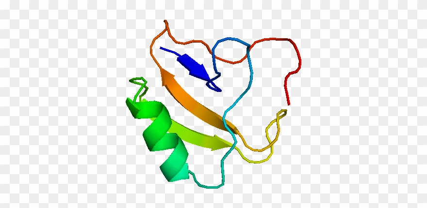 Scorpion Venom Molecular Structure Clipart