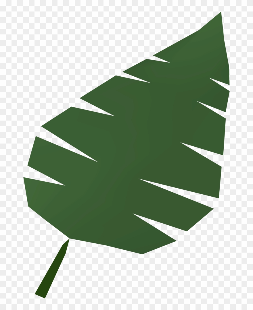 Palm Leaf Runescape Wiki Fandom Powered By Wikia Santa - Illustration Clipart