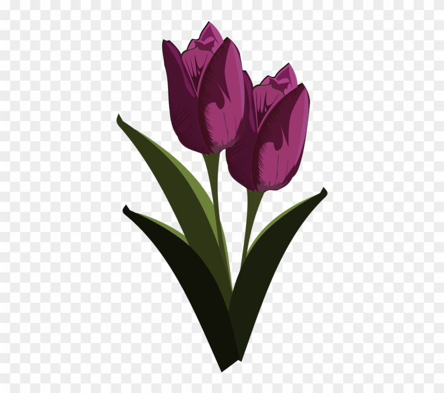 Tulip Download Mosseruds Gf Pixel Art - Tulips Flower Clip Art - Png Download