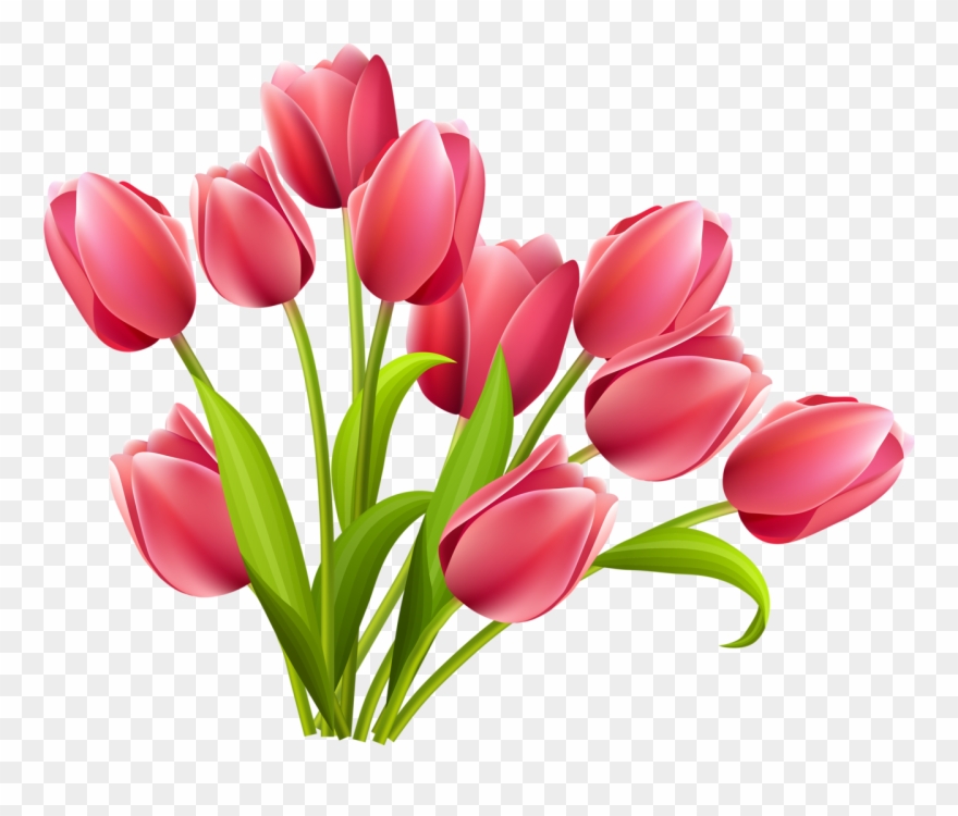 Фото, Автор Soloveika На Яндекс - March 8 Clipart