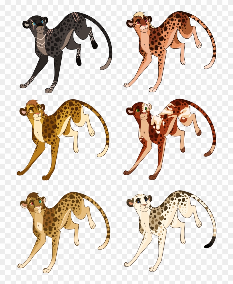 Cheetah Cub At Getdrawings Com Free For - Portable Network Graphics Clipart