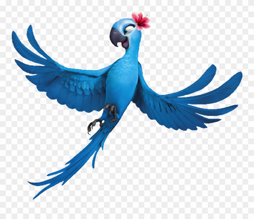 Another Great Set Of Free Png Transparent Clip Arts - Arara Azul Desenho Rio