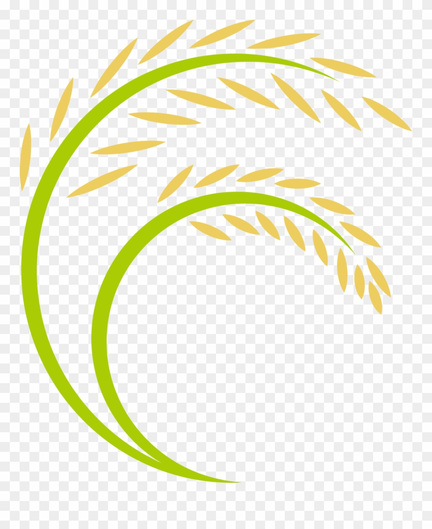 Rice Logo Cartoon Transprent Png Free Download - Espiga De Arroz Dibujo Clipart