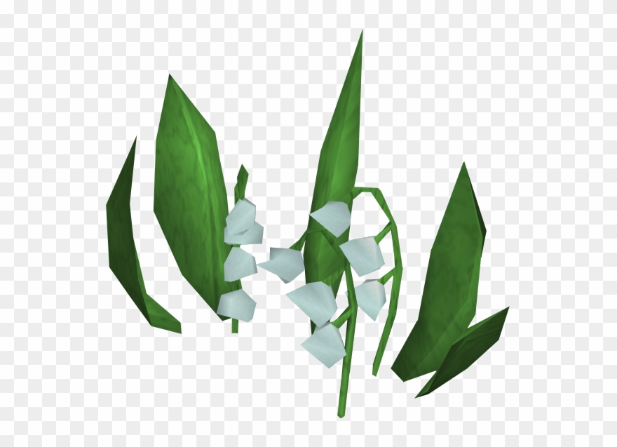 Lily Of The Valley Clipart Transparent - Lily Of The Valley - Png Download