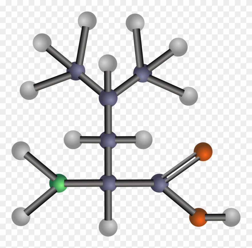 Amino Acid Leucine Methionine Aspartic Acid - Amino Acids Vector Clipart