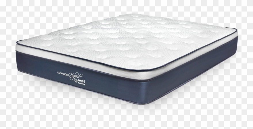 Nest Bedding Alexander Signature Clipart