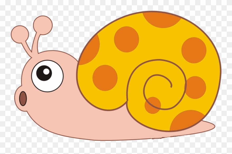 Banner Library Download Clip Art Snails Transprent - Snail - Png Download
