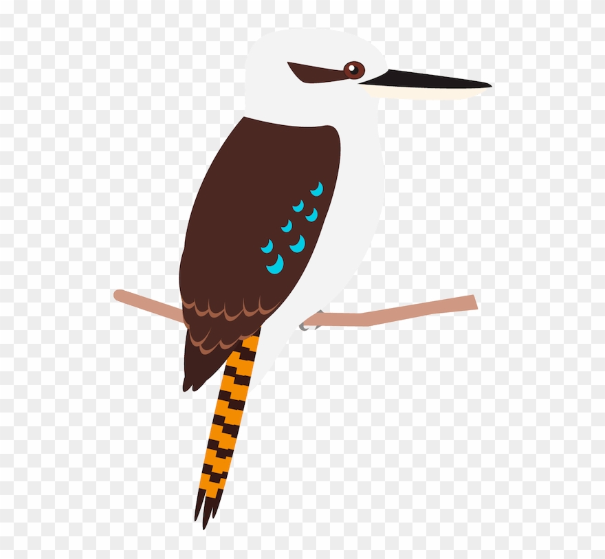 Kookaburra Cartoon Clipart