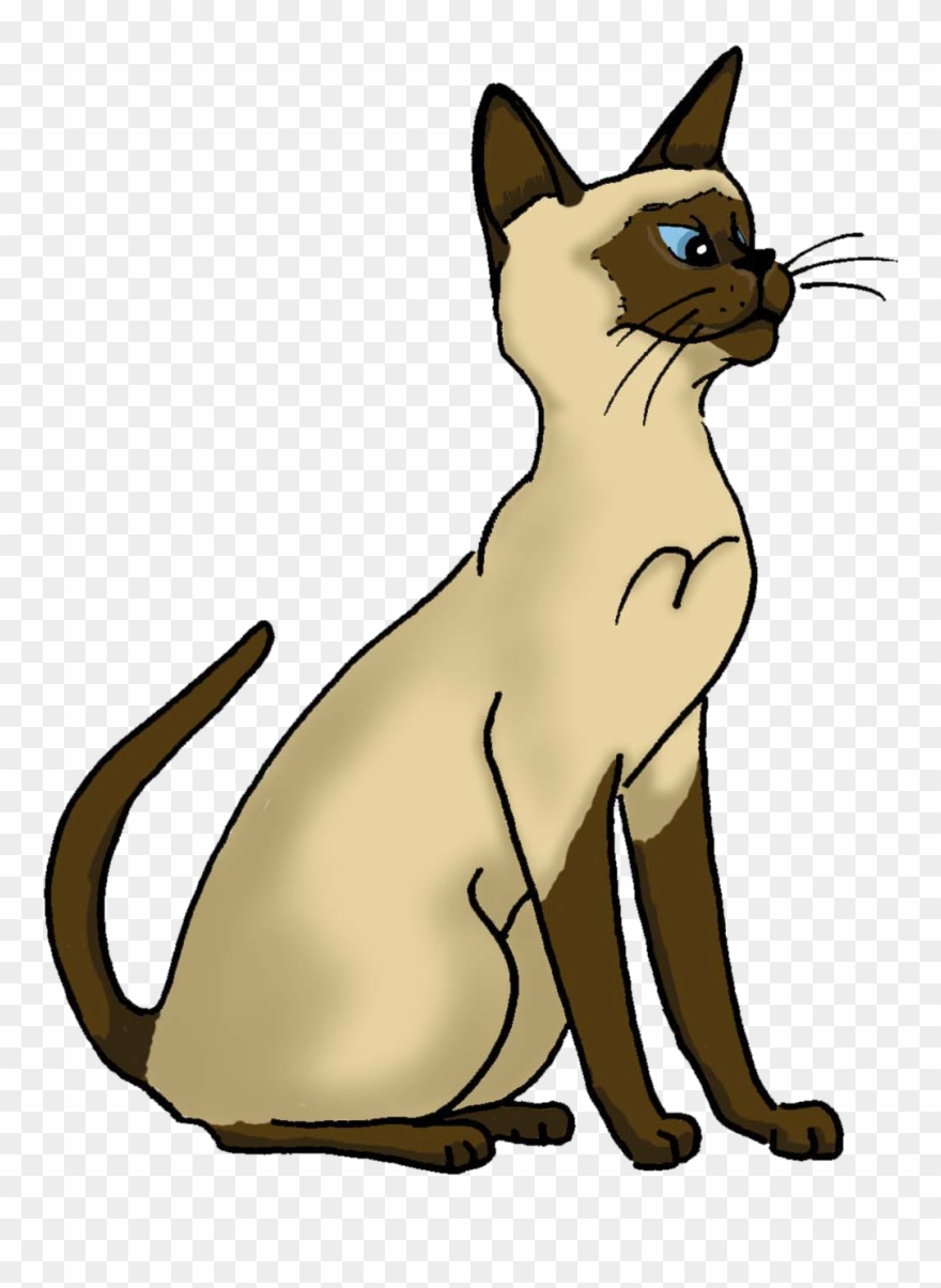 Sitting Siamese Cartoon By Lynn Buchanan - สัญลักษณ์ พรรค ประชา ธรรม Clipart