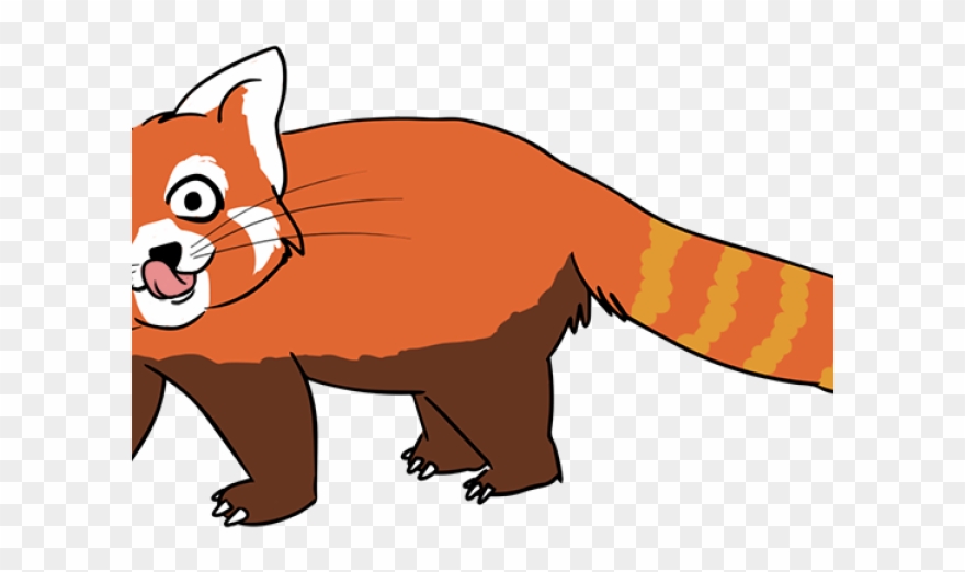 Red Panda Clipart Colorful - Red Panda Transparent - Png Download