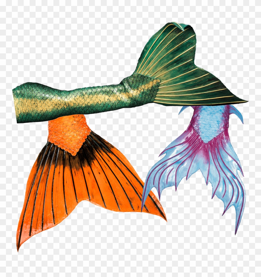 High Quality Silicone Mermaid Tails From Mermaid Kat - Mermaid Clipart