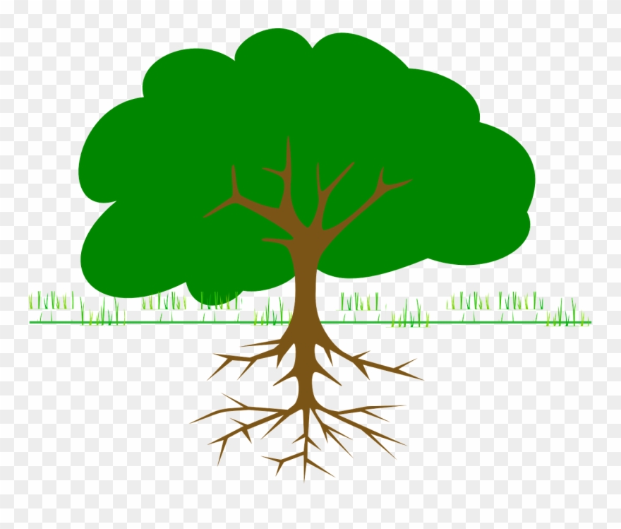Forest, Tree, Branches, Roots, Ecology, Bio - Tree Drawing With Fruits Clipart