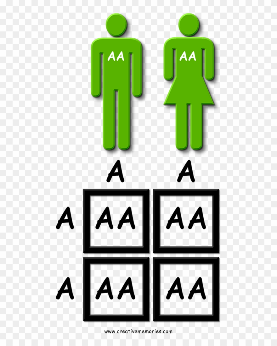 In This Genetic Distribution, Neither Parent Carries Clipart