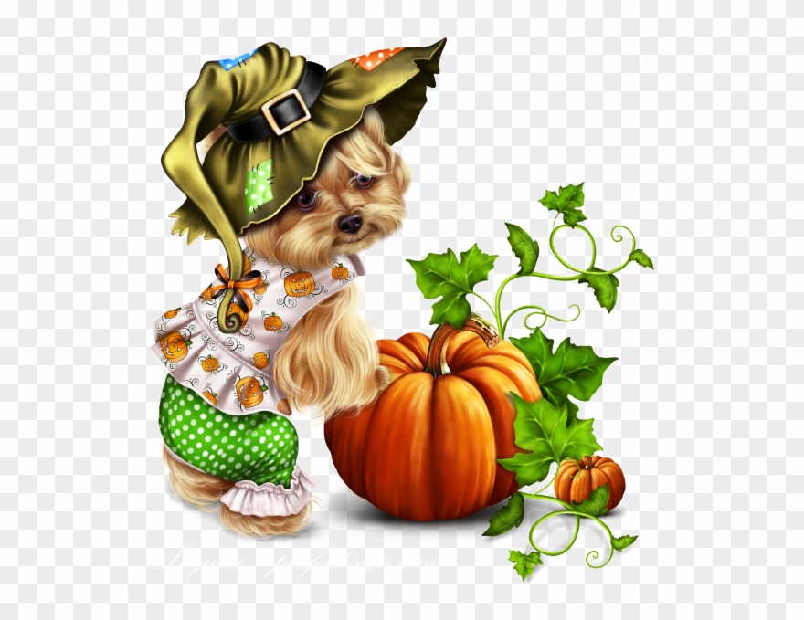 Little Pumpkin Yorkie - Yorkshire Terrier Clipart