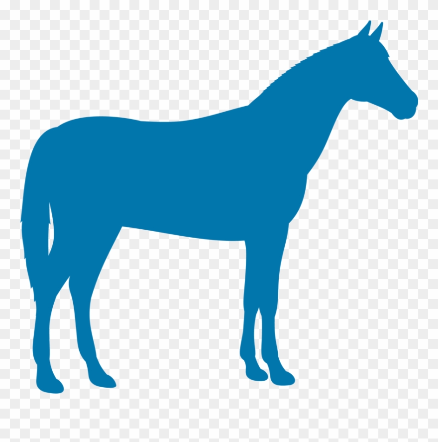 Horseicon - Silhouette Clip Art Farm Animal Silhouette - Png Download