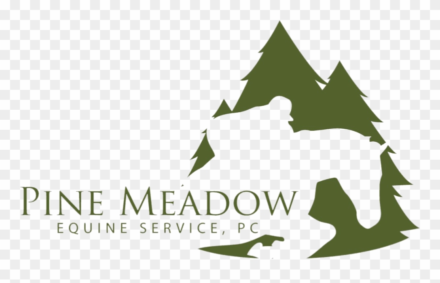 Equine Veterinarian Team In Yorktown, Va - Graphic Design Clipart