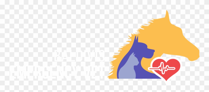 Bvh Emergency Logo - Baldivis Vet Hospital Clipart