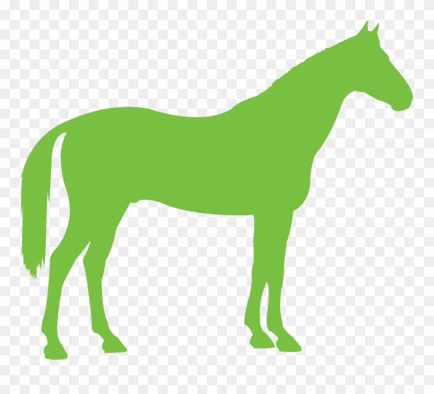 Congratulations To The Following Winners Of A Place - 4 H Horse Clipart