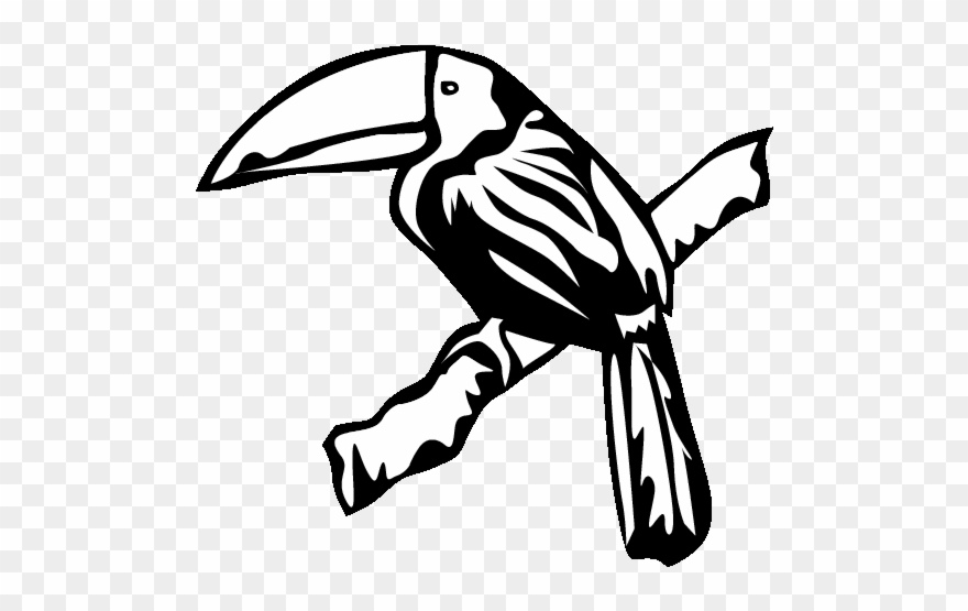 Eps 8 Toucan Printable Coloring In Pages For Kids - Toucan Clipart