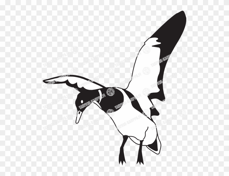 Huumori Tarra - Flying Duck Black And White Clipart