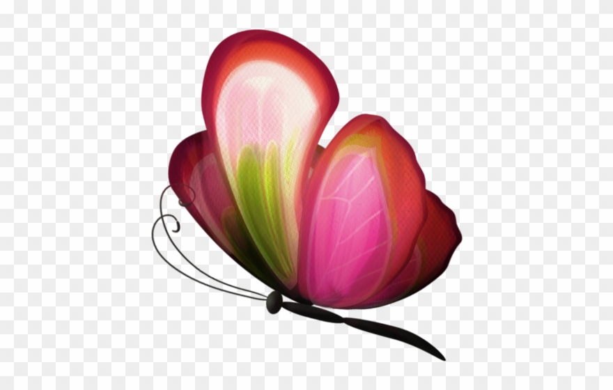 Oiseaux, Papillons, Abeilles, Clip Art - Papillons Oiseaux Png Transparent Png