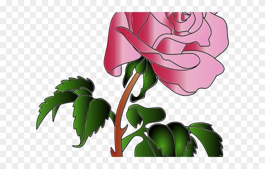Colors Clipart Rose - Garden Roses - Png Download